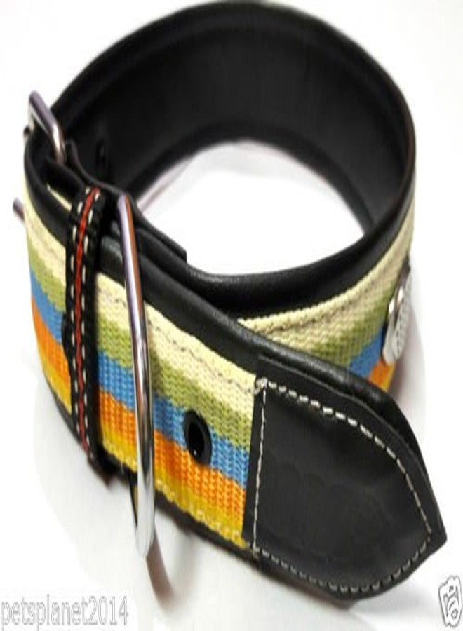 Ocean Wave Petsplanet Dog Collar with Stylish Design & Soft Pad- 5 Color Strip - Image 3